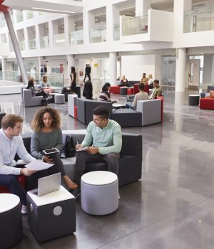 alphagamma 7 strategies to create an ideal work environment for Millennials entrepreneurship