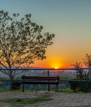 alphagamma SEE Peace Fellowship 2017 opportunities